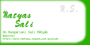 matyas sali business card